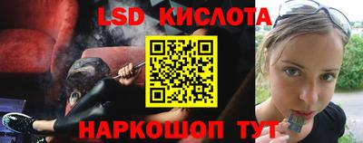 шишки Будённовск