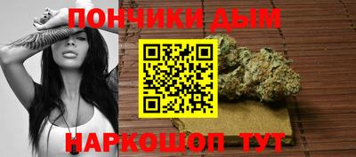 шишки Будённовск