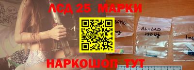 шишки Будённовск