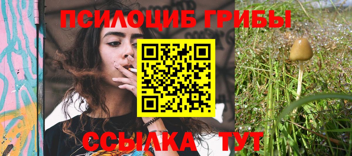 Галлюциногенные грибы мицелий Усть-Кут
